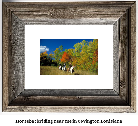 horseback riding near me in Covington, Louisiana